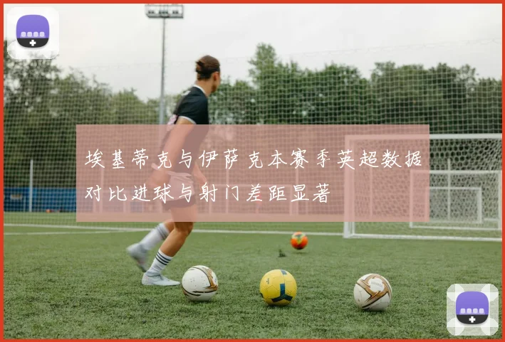 埃基蒂克与伊萨克本赛季英超数据对比进球与射门差距显著