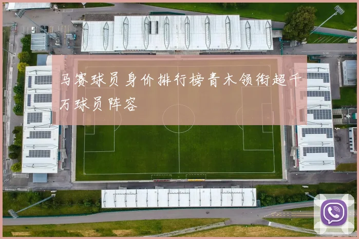 马赛球员身价排行榜青木领衔超千万球员阵容